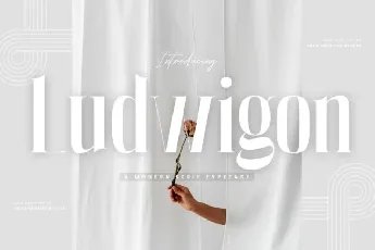 Ludwigon font