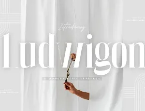 Ludwigon font