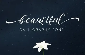 Staples Calligraphy font