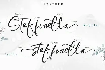 Steffinella Script font