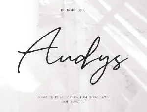 Audys font