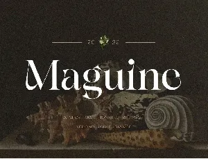 Maguine font