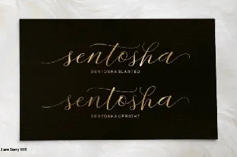 Sentosha Script font