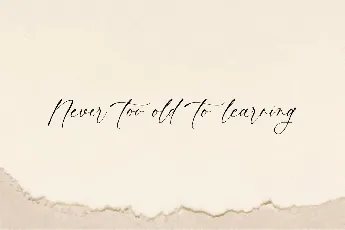 Vintage Painting font