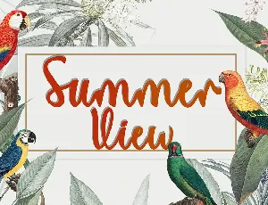 Summer View font