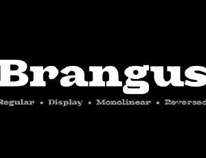 Brangus Sans Serif font