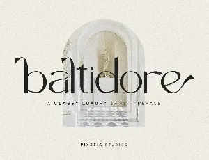 Baltidore font