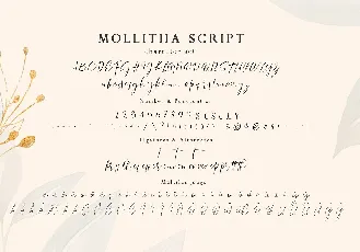 Mollitha font