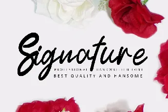 Signature Typeface font