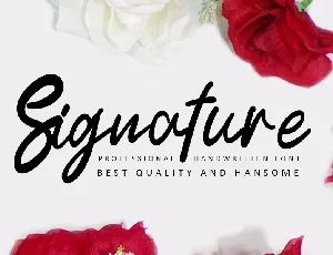 Signature Typeface font