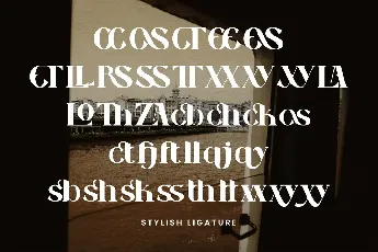 Distant Feeling font