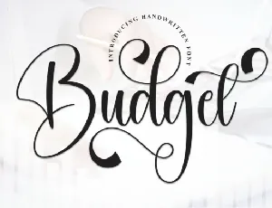 Budget Script font