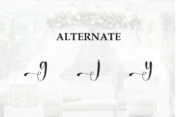 Wedding Script Typeface font