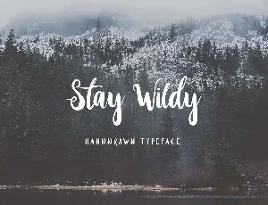 Stay Wildy font