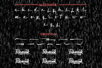 Tillamook Demo font