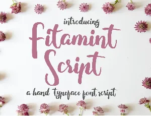 Fitamint Script font