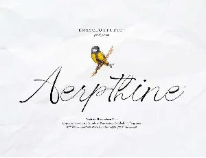 Aerpthine font