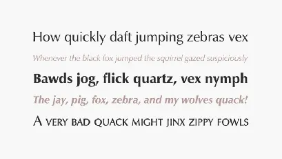 Epigrafica Sans Serif font