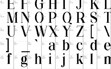 Silvex Editorial Family font