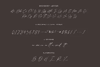 Shamson Signature font