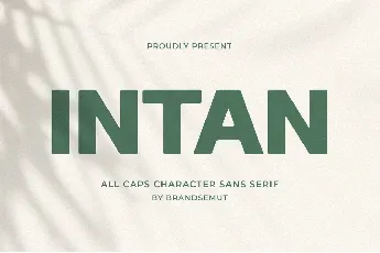 Intan font