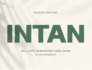 Intan font