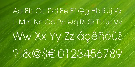 Bamboo Gothic font