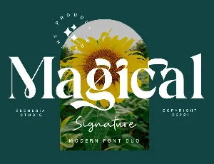 Magical Signature Personal Use font