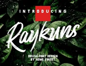 Raykuns font