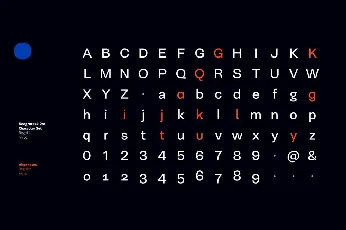 Neogrotesk Family font