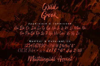 Wild Grook - Personal Use font