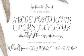 Sinfonietta Handwritten Script font