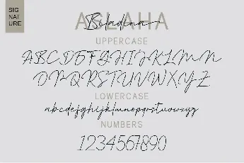 Aslaha Biladina Duo font