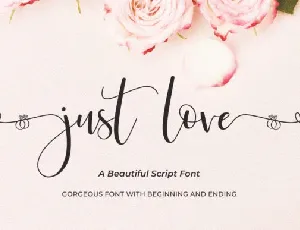 Just Love Calligraphy Script font