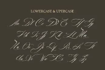 Cloude Calligraphy font