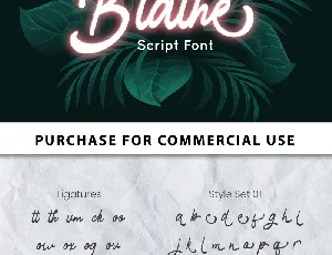 Blathe - Personal Use font