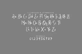 Telor font