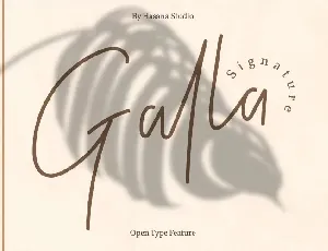 Galla Signature font