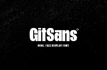 GitSans Display font