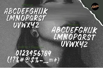 Stephile font