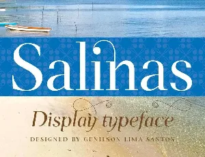 Salinas font