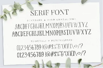 Felichiya Collection font