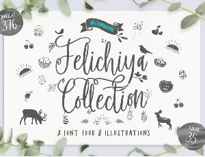 Felichiya Collection font