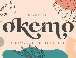 Okemo â€“ Modern Serif font