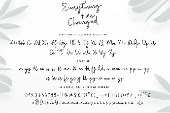 Everything Has Changed font