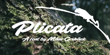 Plicata Free font