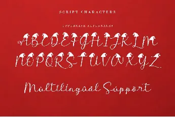 Cute Christmas Monogram font