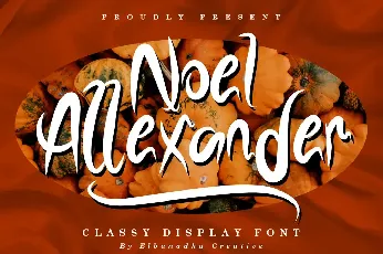 NOELALEXANDER DEMO font