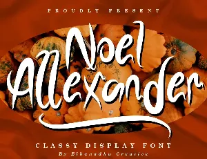 NOELALEXANDER DEMO font