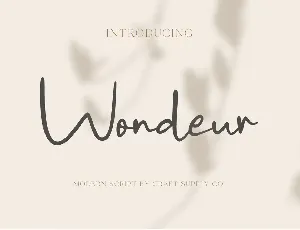 Wondeur Free font